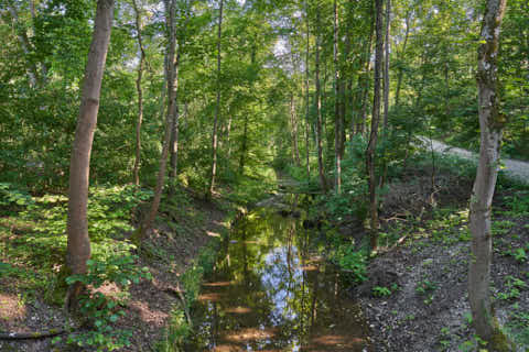 Gemeinde Altötting Landkreis Altötting Gries Mörnbach Natur-Erlebnispfad (Dirschl Johann) Deutschland AÖ